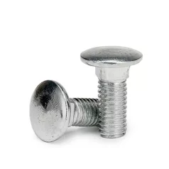 Coach Bolt (Mushroom Head Bolt) A2 8x25mm