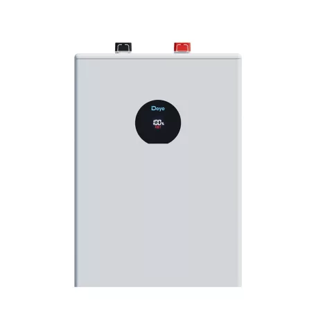 Deye SE-F12-C (IP21) Low-Voltage Battery