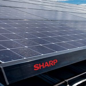 Solar&Solar Wholesale Announces Black Weeks Specials: Save Big on Sharp Solar Panels!